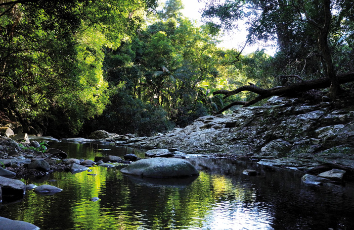 Currumbin Rock Pools