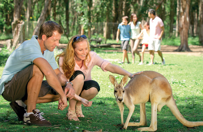 Patting a kangaroo at Currumbin Wildlife Sanctuary
