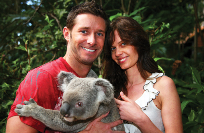 Koala Junction