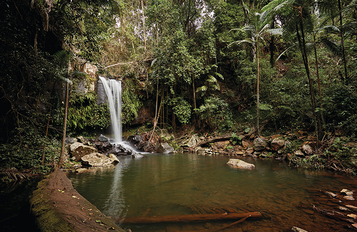 Hinterland Tours