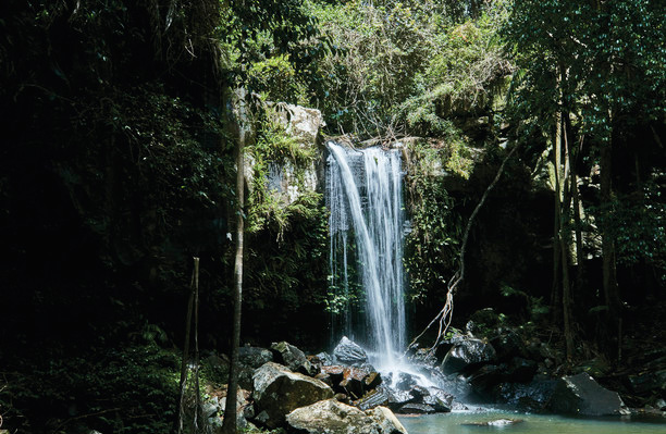 Waterfall in the Gold Coast Hinterland