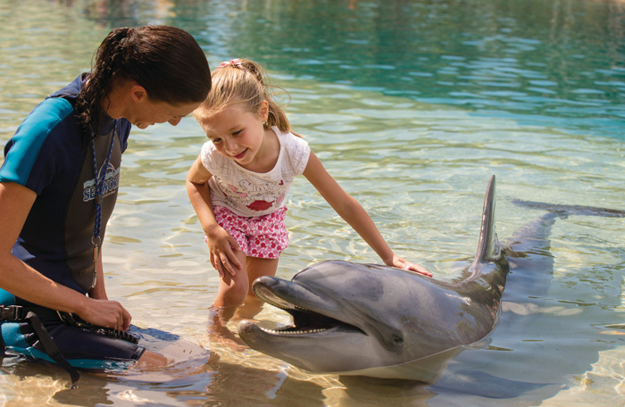 Meet the dolphin encounter girl