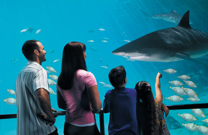 Shark Bay viewing area
