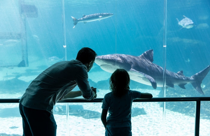 Sea World Shark Bay