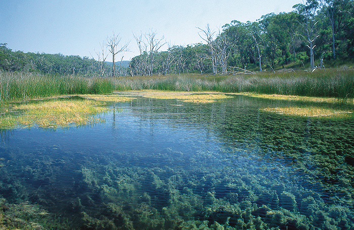 Fresh water lakes on Stradbroke Island